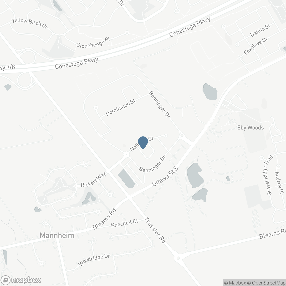 101 NATHALIE Street, Kitchener, Ontario N2E 0C4